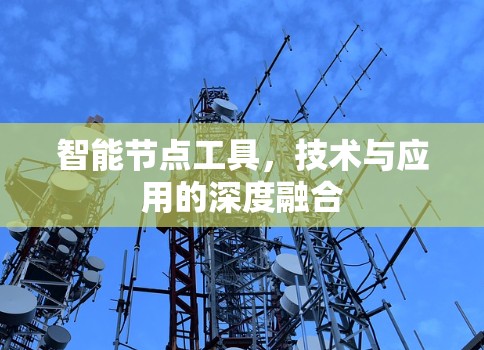 智能节点工具，技术与应用的深度融合