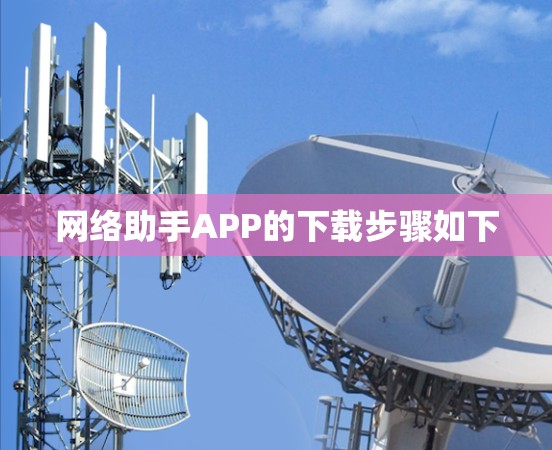 网络助手APP的下载步骤如下