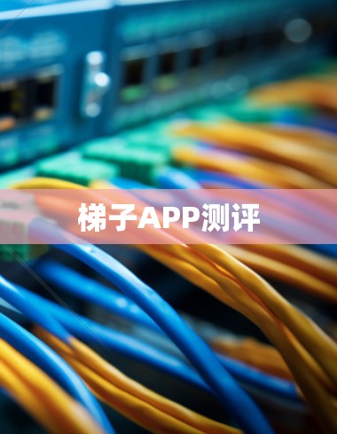 梯子APP测评