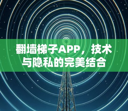 翻墙梯子APP,技术与隐私的完美结合 翻墙梯子APP,技术与隐私的完美结合