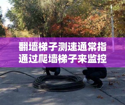 翻墙梯子测速通常指通过爬墙梯子来监控和检测网络服务器上的恶意流量或脚本，从而评估网络的访问速度和网络安全状况。以下是关于爬墙梯子测速的详细解释