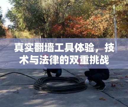 真实翻墙工具体验，技术与法律的双重挑战与成长