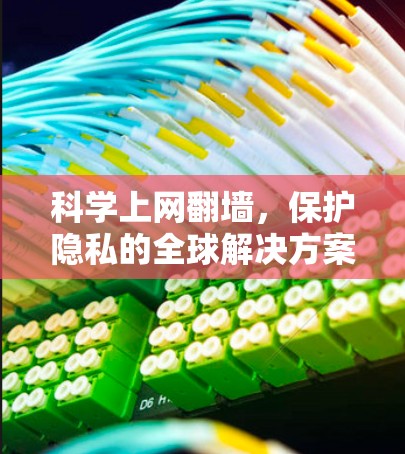 科学上网翻墙，保护隐私的全球解决方案