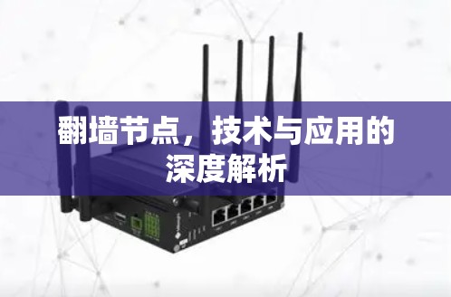 翻墙节点，技术与应用的深度解析