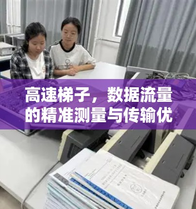高速梯子，数据流量的精准测量与传输优化