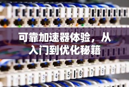 可靠加速器体验,从入门到优化秘籍